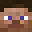 SenkoX